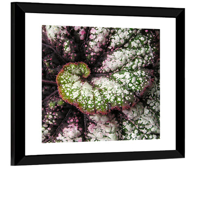 Begonia Leaf Spiral Geometry Wall Art
