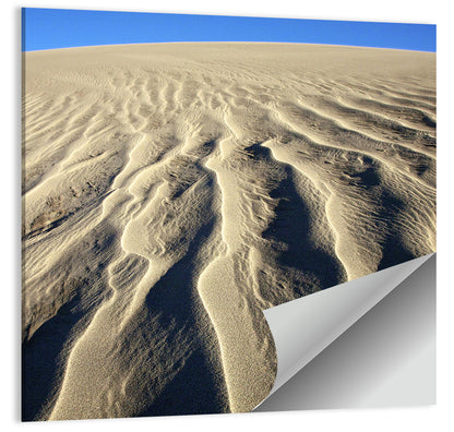 Endless Rippled Sand Dunes Wall Art