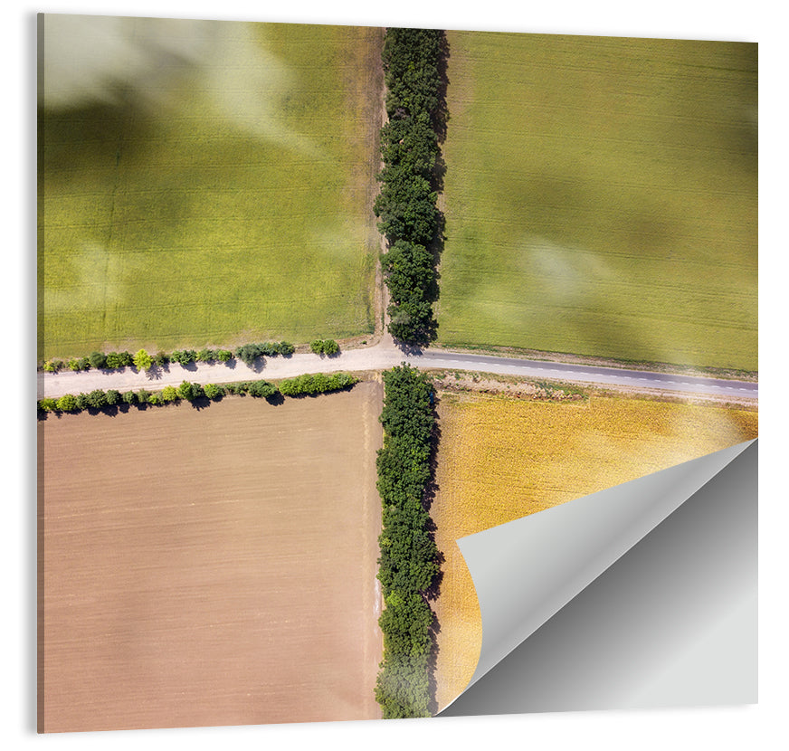 Aerial Farmland Quadrants Wall Art