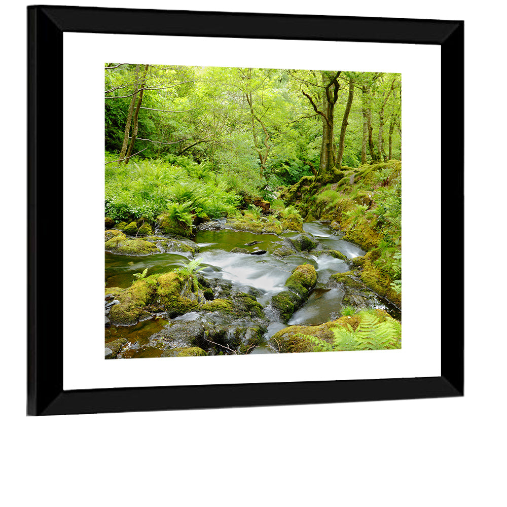 Mossy Stream Through Forest Wall Art