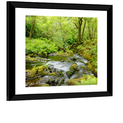 Mossy Stream Through Forest Wall Art