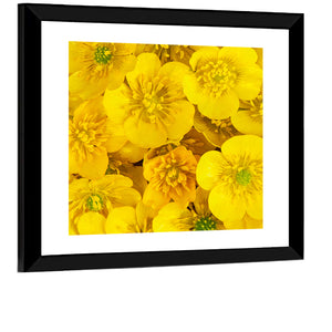 Wild Buttercups Wall Art