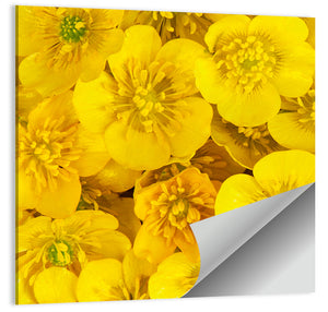 Wild Buttercups Wall Art