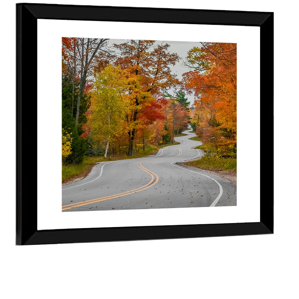Winding Autumn Highway Wall Art