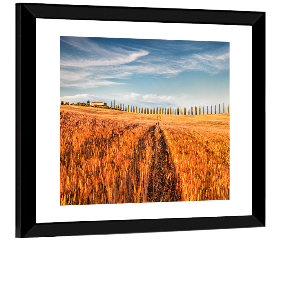 Tuscan Wheat Field Wall Art