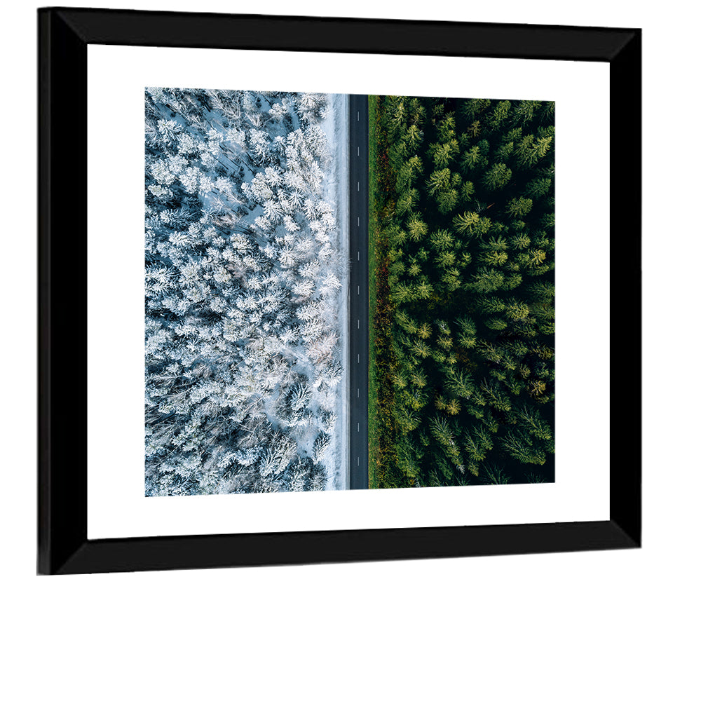 Summer and Winter Forests Wall Art