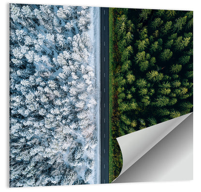 Summer and Winter Forests Wall Art
