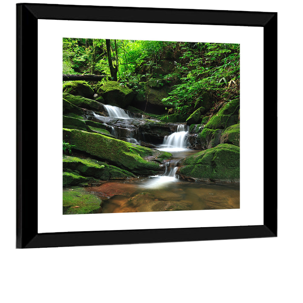 Mossy Rainforest Stream Wall Art