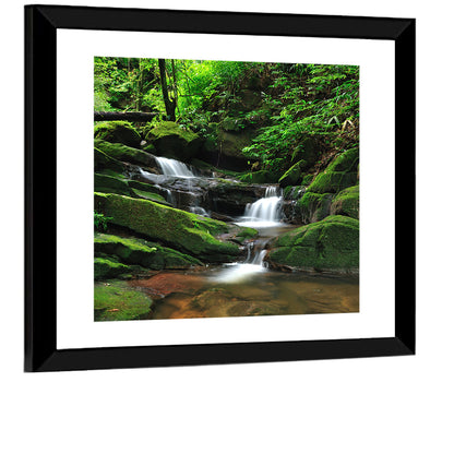 Mossy Rainforest Stream Wall Art
