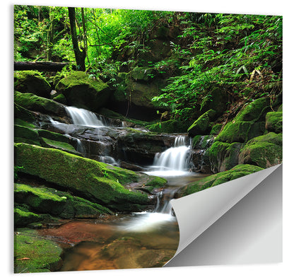Mossy Rainforest Stream Wall Art