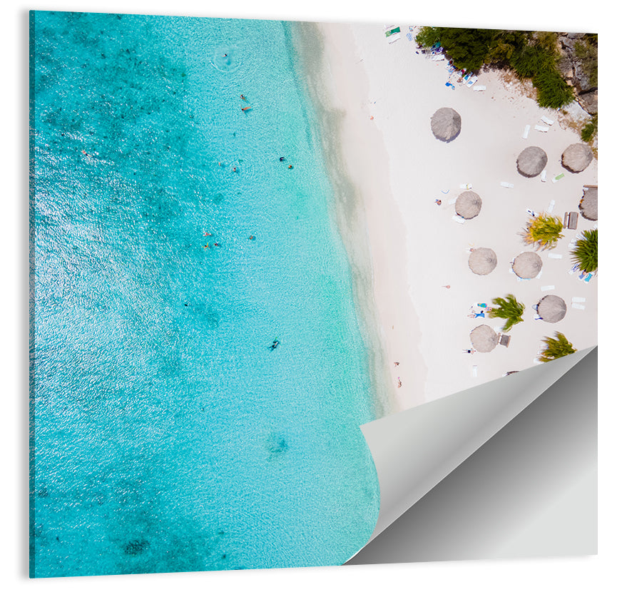 Cas Abou Aerial Shoreline Wall Art