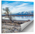 Winter Washoe Lake Morning Wall Art