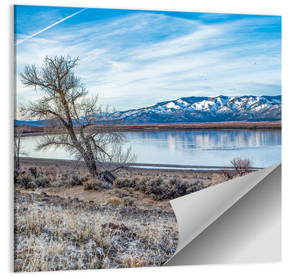 Winter Washoe Lake Morning Wall Art