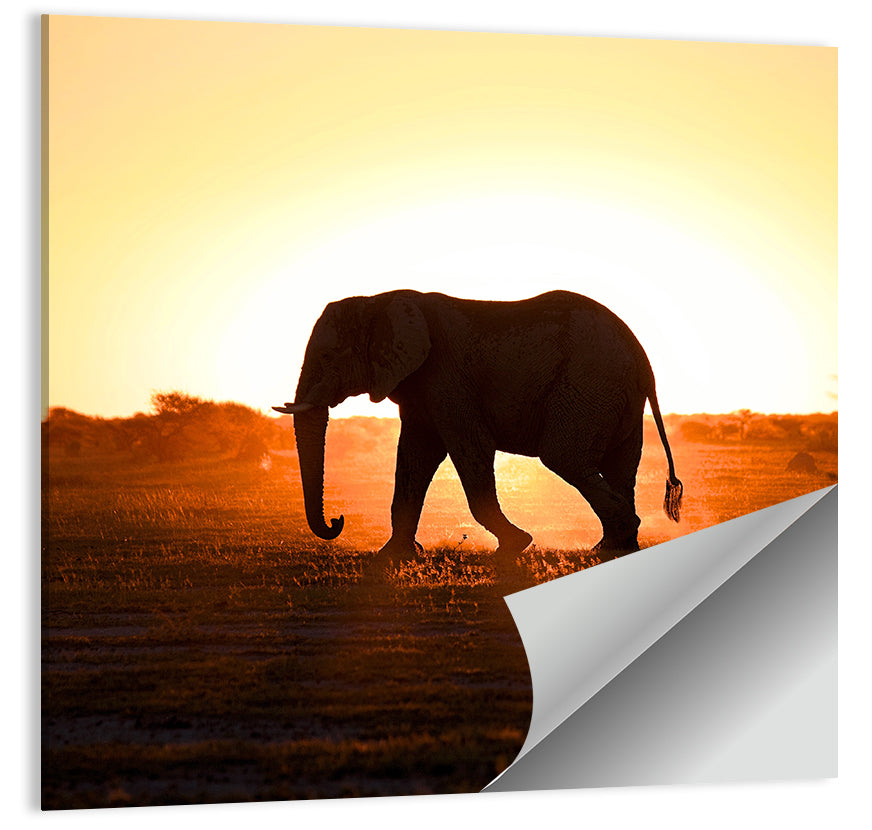 Golden Hour Elephant Silhouette Wall Art