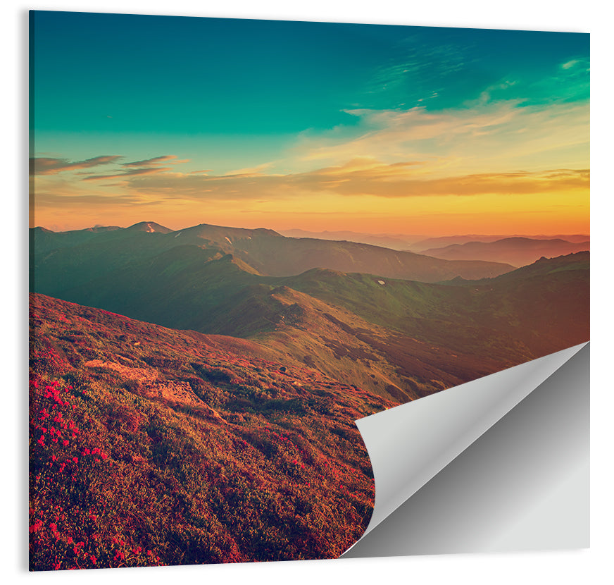 Alpine Rhododendrons at Golden Sunrise Wall Art