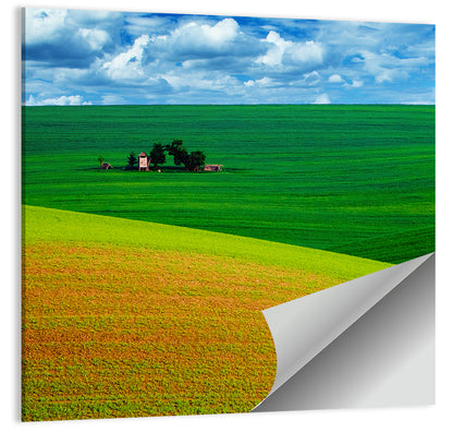 Green Fields Wall Art