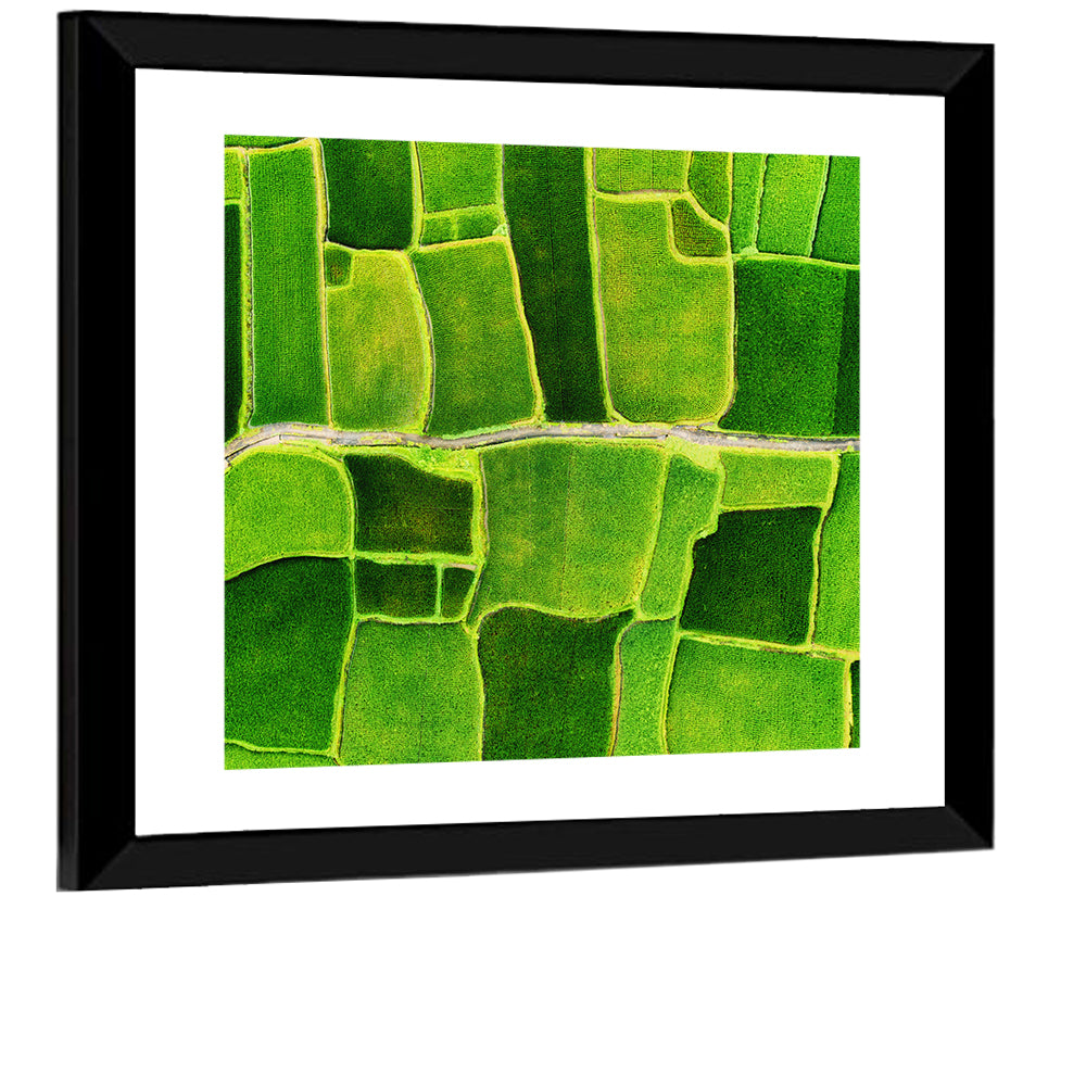 Verdant Rice Terrace Grid Wall Art