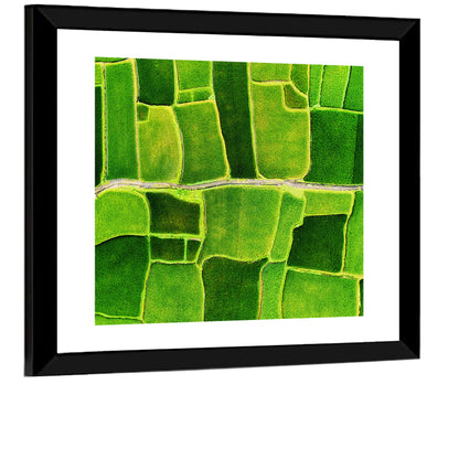 Verdant Rice Terrace Grid Wall Art