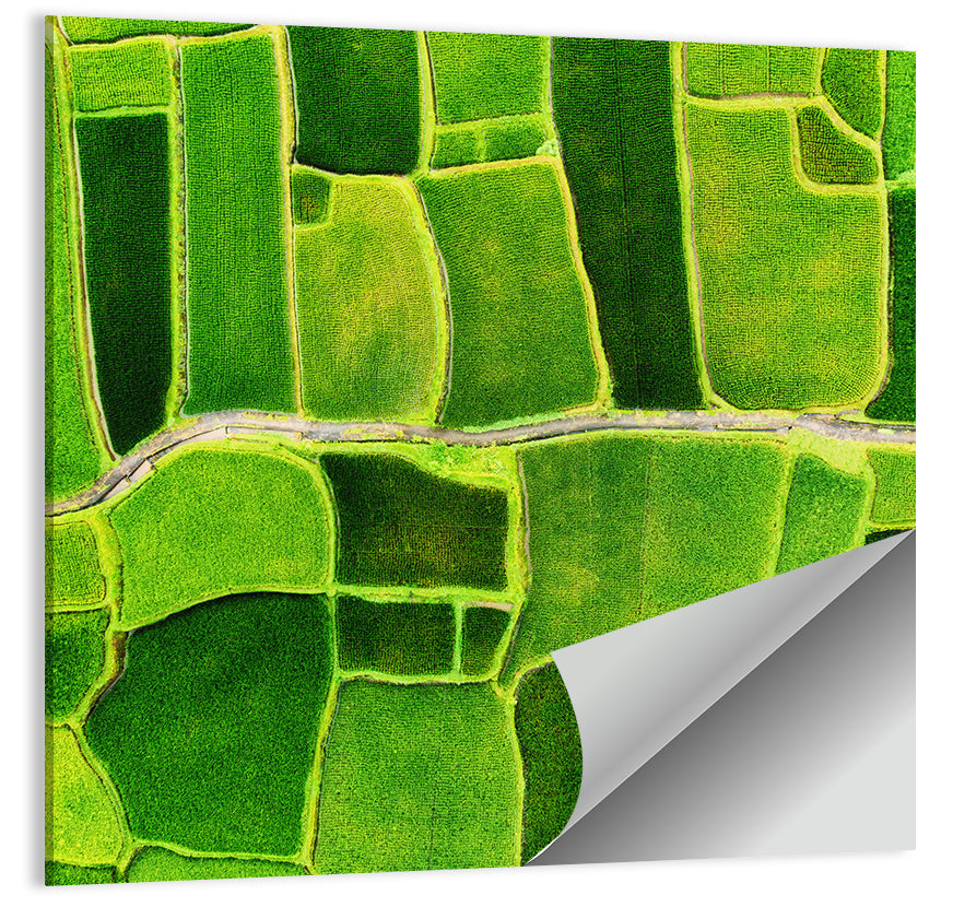 Verdant Rice Terrace Grid Wall Art