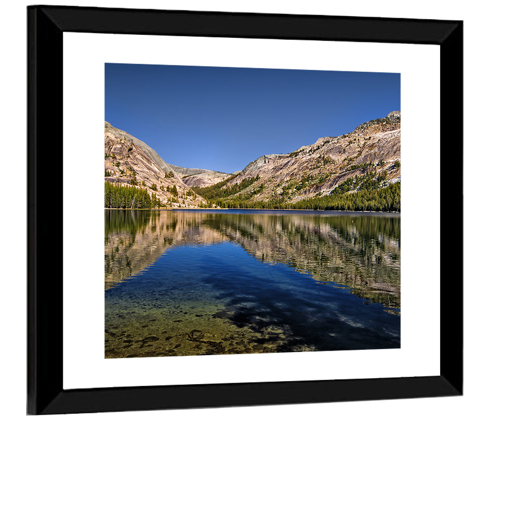Tenaya Lake Reflection Wall Art