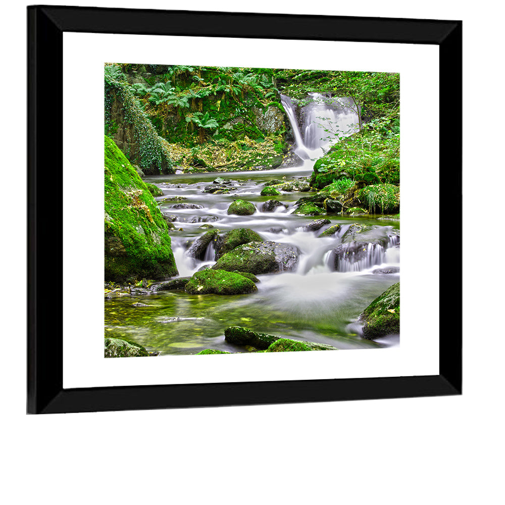 Mossy Forest Stream Wall Art