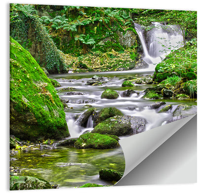Mossy Forest Stream Wall Art