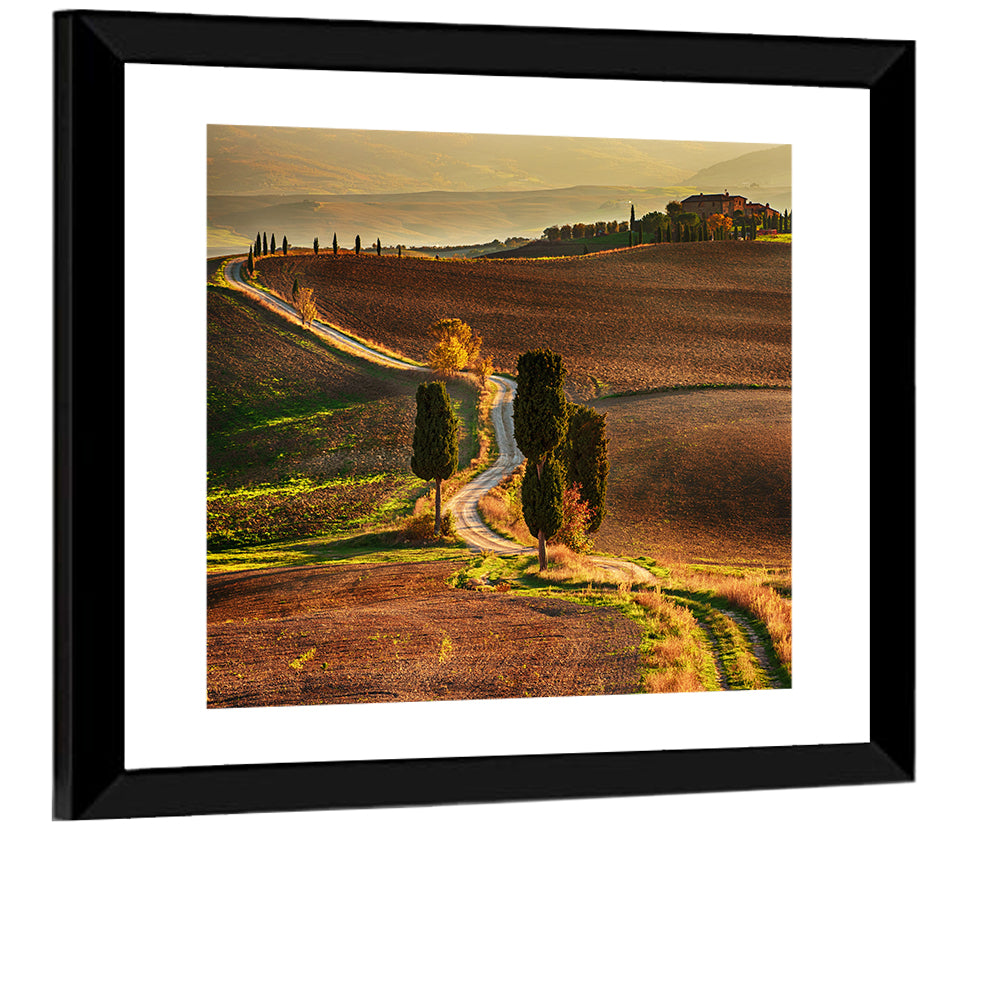 Val D’orcia Winding Golden Road Wall Art