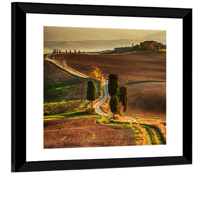 Val D’orcia Winding Golden Road Wall Art