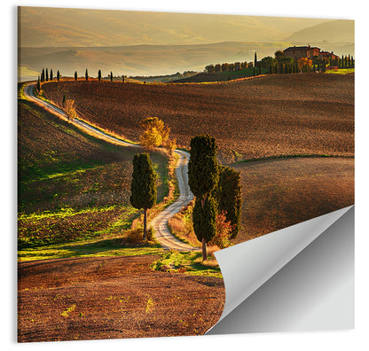 Val D’orcia Winding Golden Road Wall Art