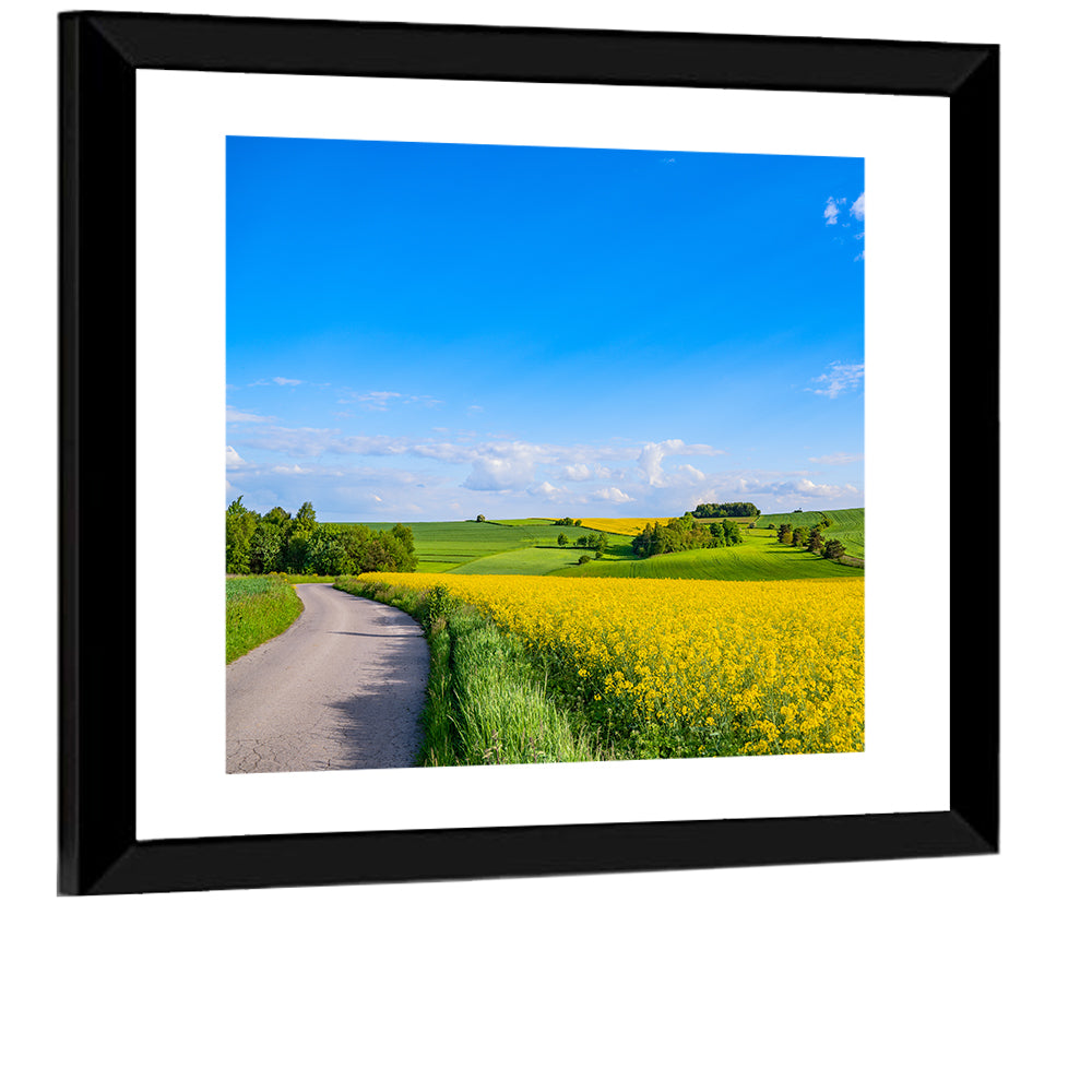 Oilseed Field Wall Art