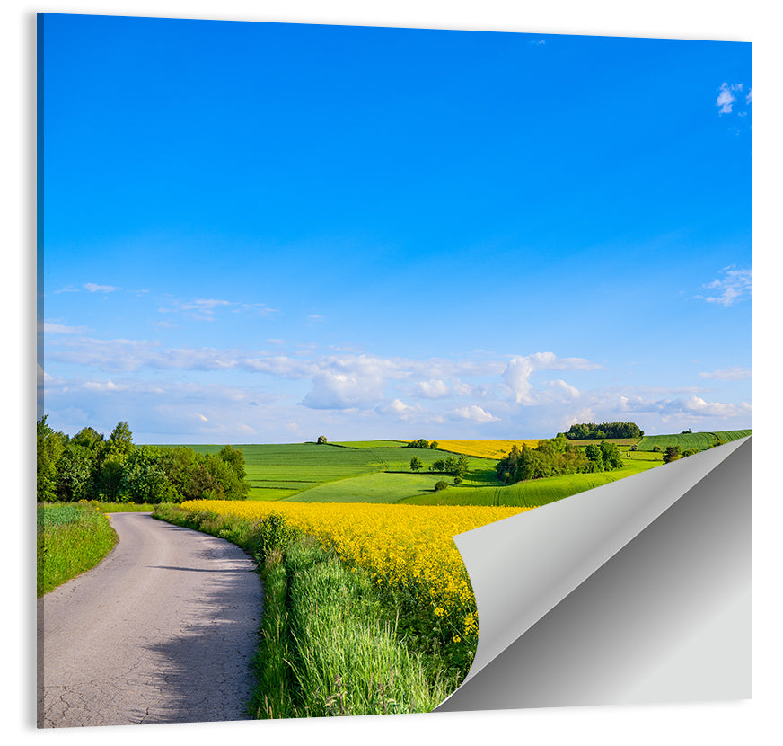Rapeseed Field Road Under Blue Sky Wall Art