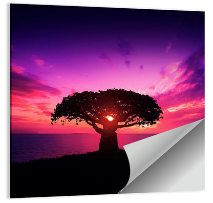 Baobab Sunset Silhouette Wall Art