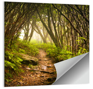 Craggy Gardens Hiking Trail Wall Art