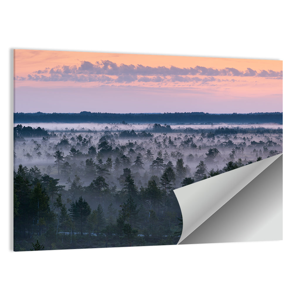 Estonian Misty Pine Landscape Wall Art