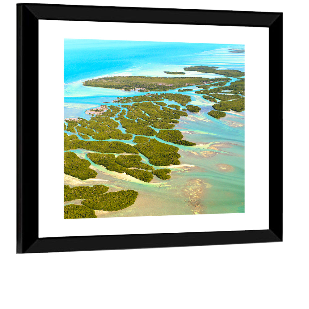 Florida Keys Mangrove Islands Wall Art