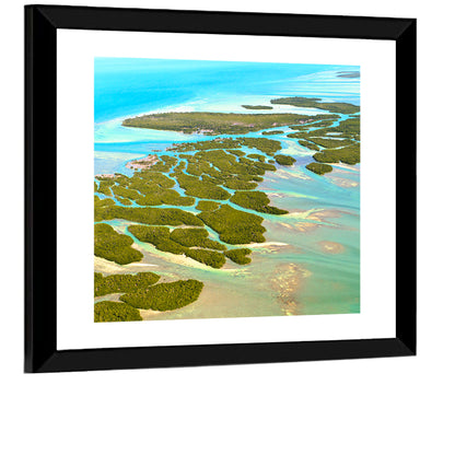 Florida Keys Mangrove Islands Wall Art