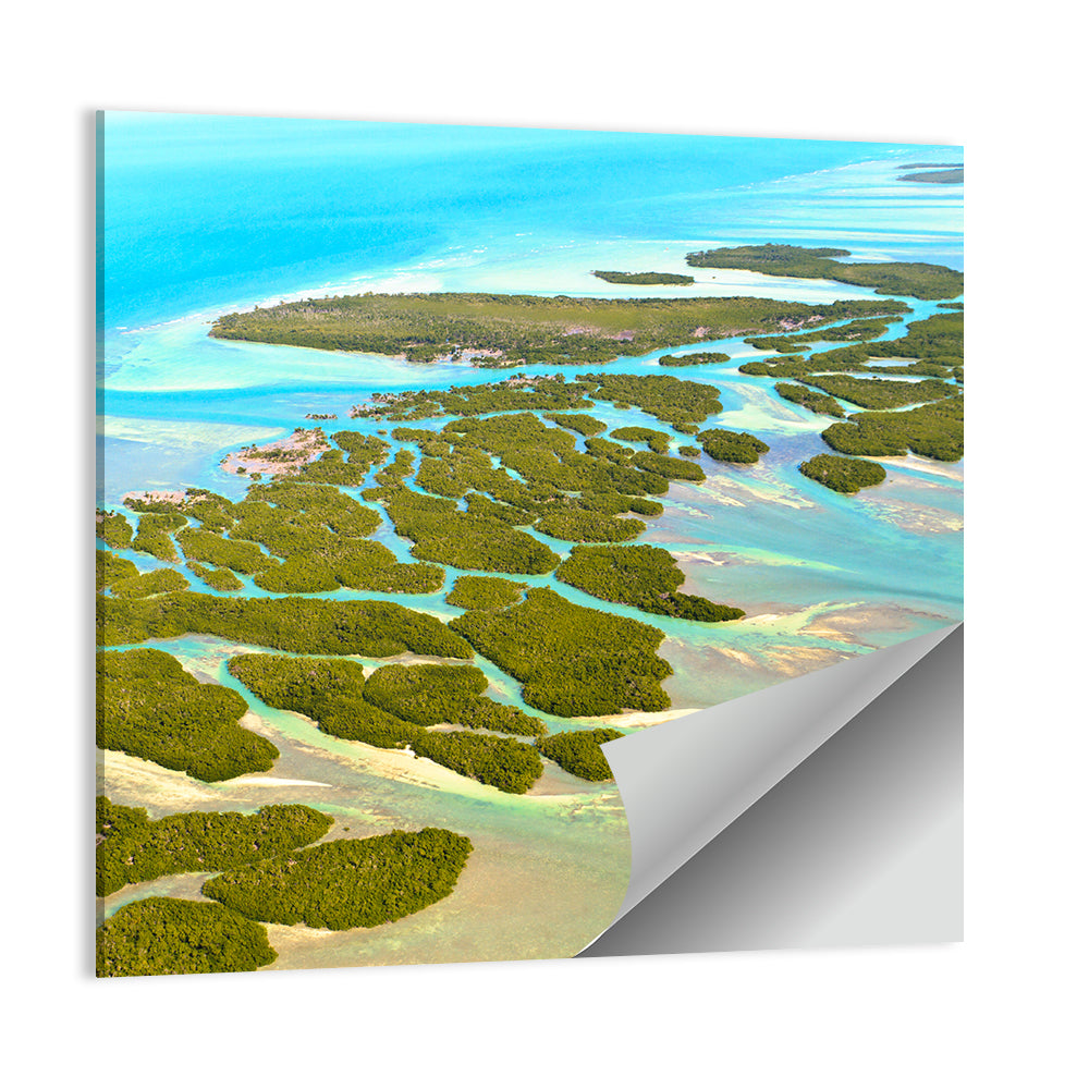 Florida Keys Mangrove Islands Wall Art