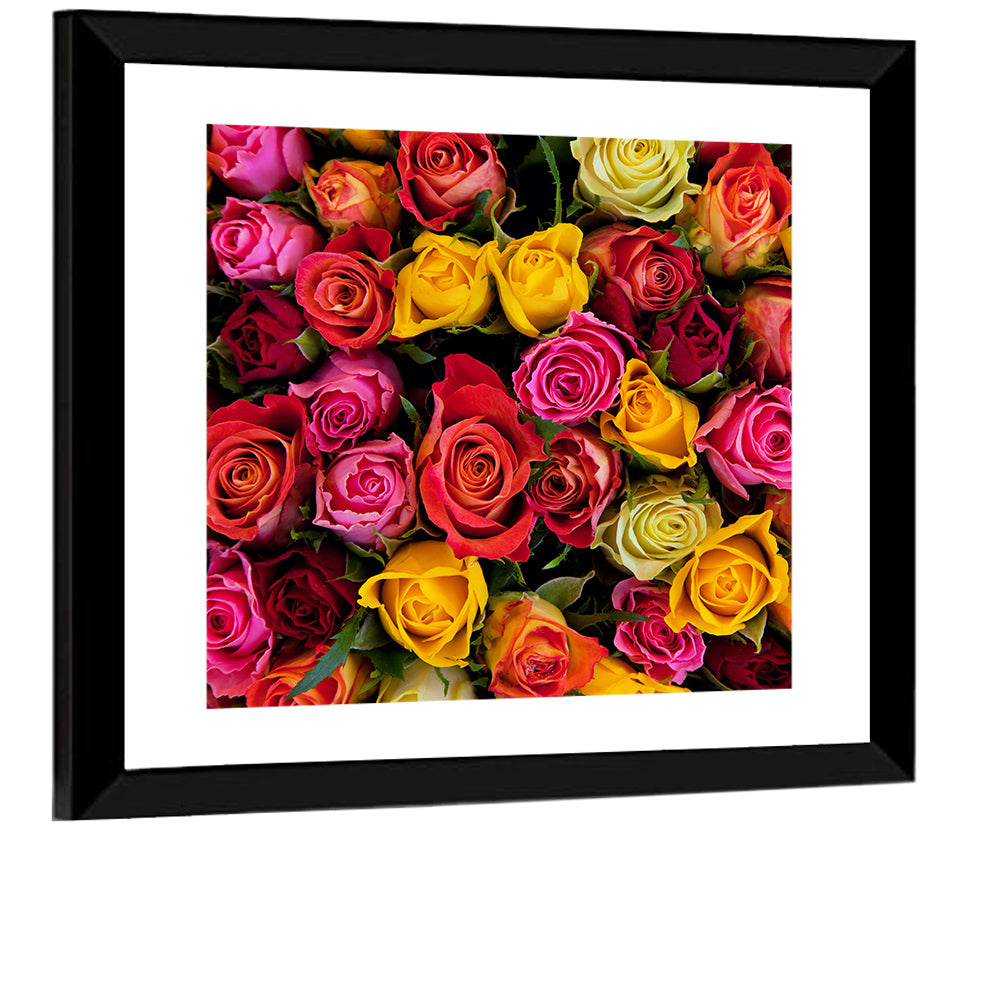 Roses Wall Art