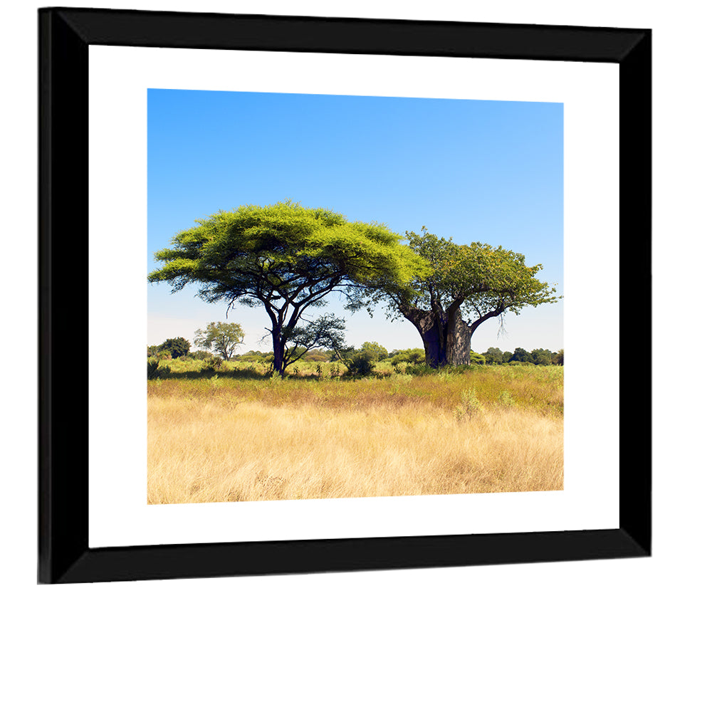 Acacia and Baobab Trees Wall Art