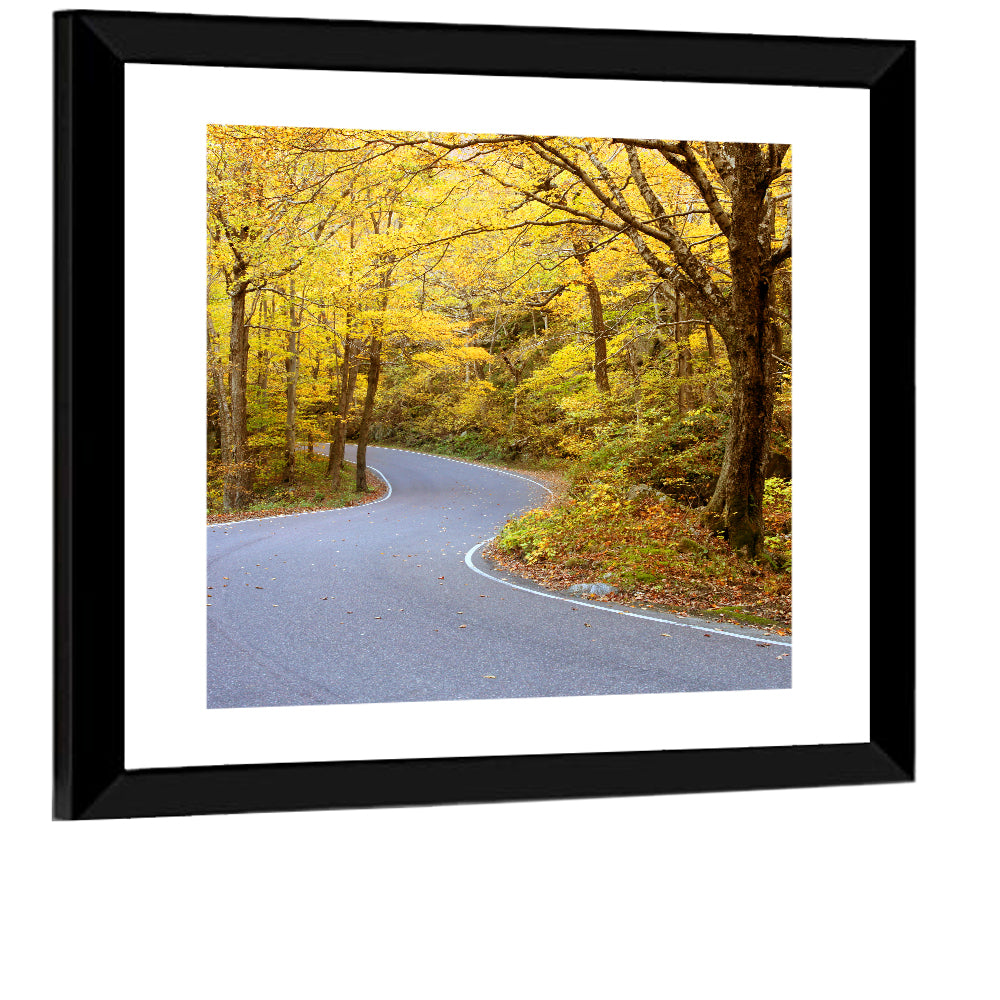 Winding Road Through Autumn Foliage Wall Art