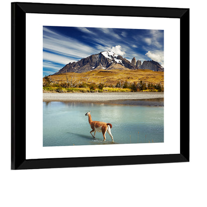 Torres Del Paine, Patagonia Wall Art