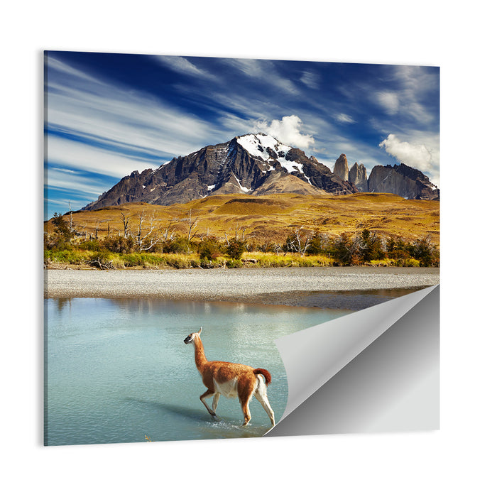 Torres Del Paine, Patagonia Wall Art as a poster print