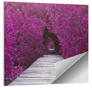 Mangrove Forest Pathway Wall Art