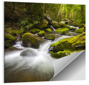 Gatlinburg Park Stream Wall Art