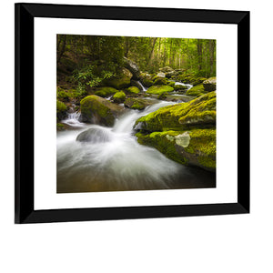 Gatlinburg Park Stream Wall Art