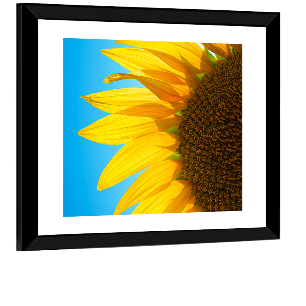 Sunflower Close-up Wall Art