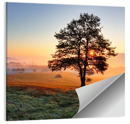 Hazy Meadow Morning & Tree Wall Art