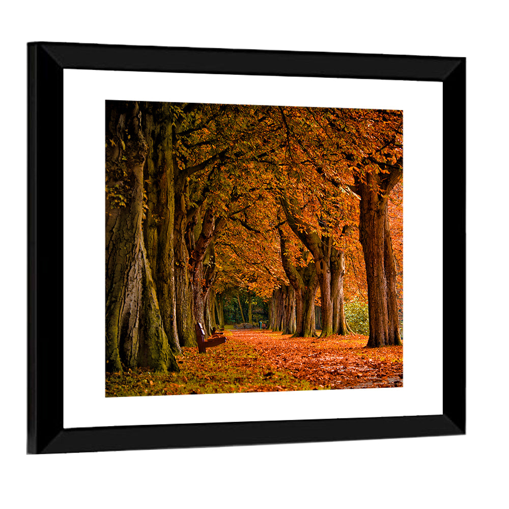 Autumn Forest Pathway Wall Art