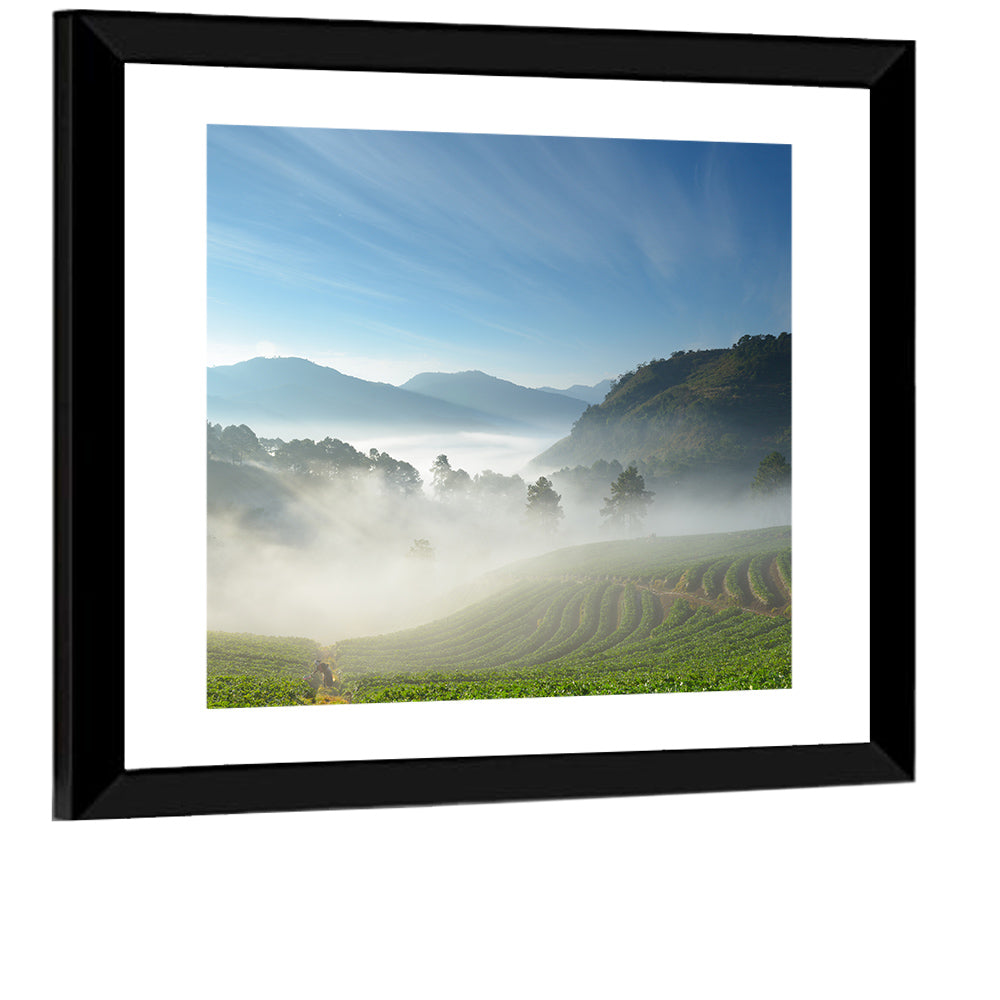Sunlit Terraced Tea Hills Wall Art