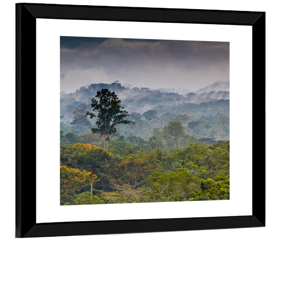 Guinea Rainforest Landscape Wall Art
